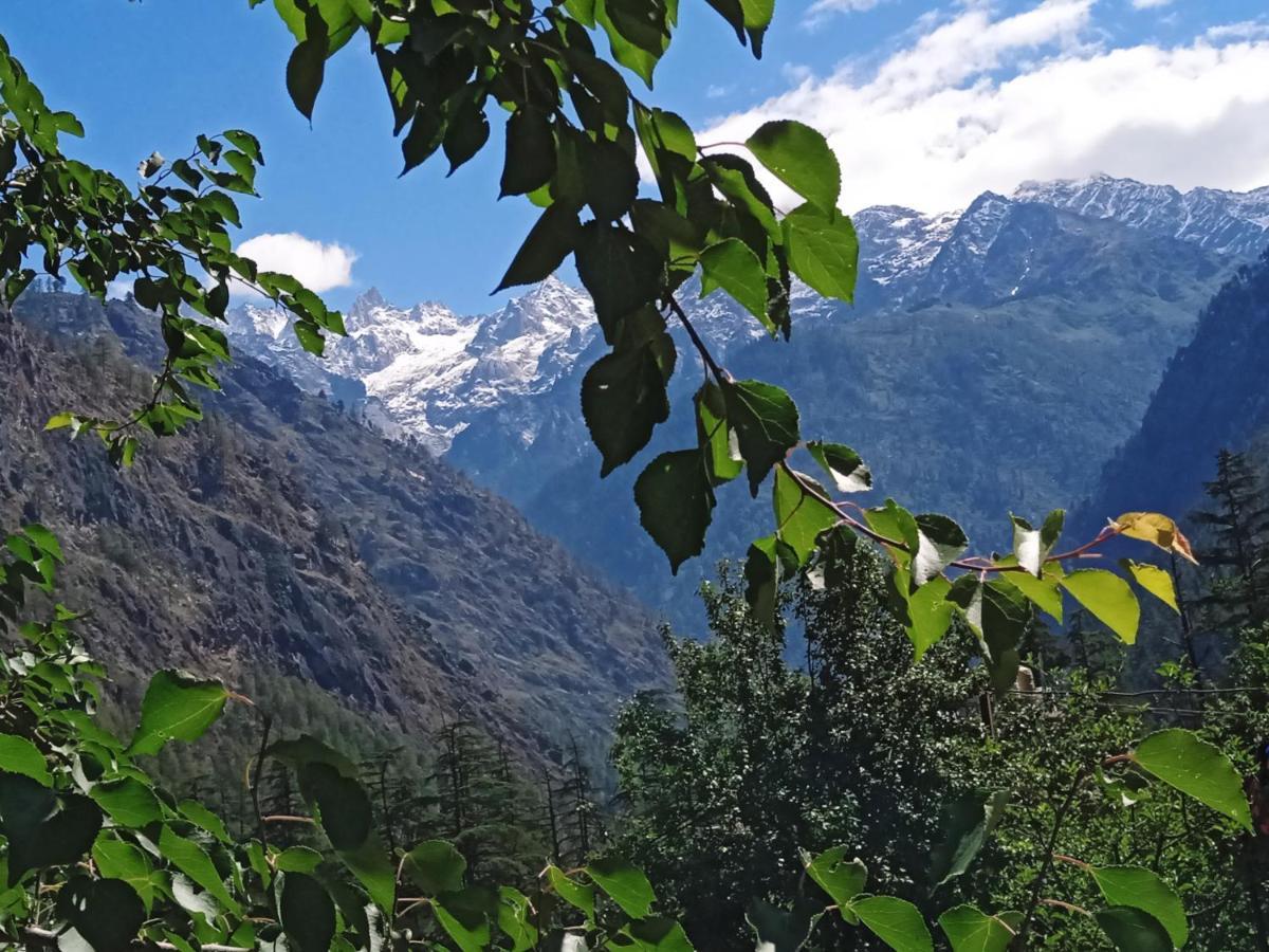 Kasol View Hotel Buitenkant foto